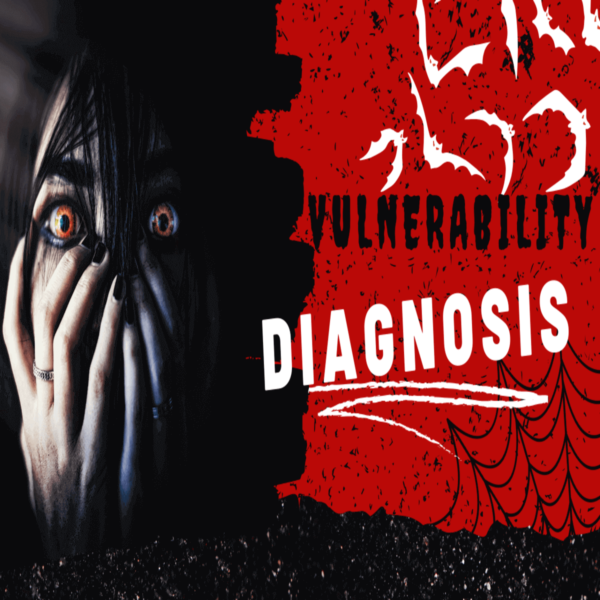 Vulnerability Diagnosis